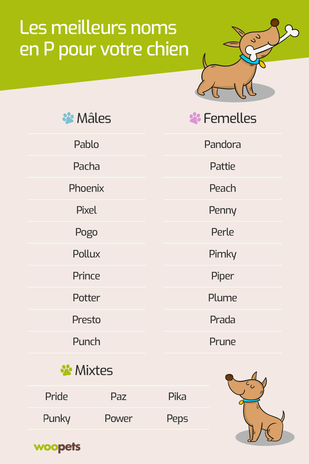 The best P names for your dog in 2019