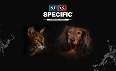 Illustration : "Specific, spécialiste de l’alimentation vétérinaire pour chiens et chats, présente sa nouvelle gamme"