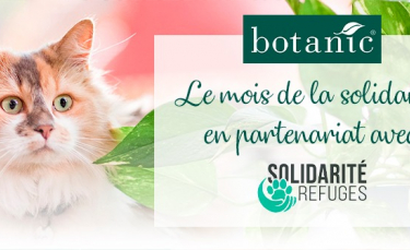 Illustration : "Botanic lance le Mois de la Solidarité pour les animaux vivant dans les refuges"