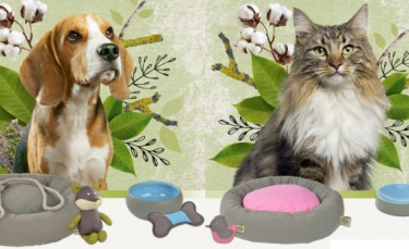 Illustration : "Naturally Good : des accessoires pour chiens et chats éco-responsables"