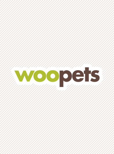 Photo: Hungarian Wirehaired Pointer breed dog on Woopets