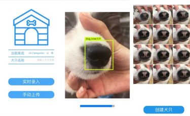 Illustration : "En Chine, la reconnaissance faciale bientôt appliquée aux chiens pour identifier les mauvais propriétaires ?"