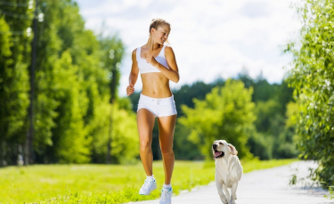 Illustration : "Pratiquer une activité physique avec son chien"